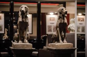 Park Hotel Grenoble - MGallery Collection - photo 25