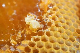 greet hotel Grenoble Centre Gare - photo 9