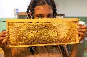 greet hotel Grenoble Centre Gare - photo 6