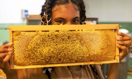 greet hotel Grenoble Centre Gare - photo 3