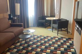 Hotel Mercure Grenoble Centre Président - photo 17