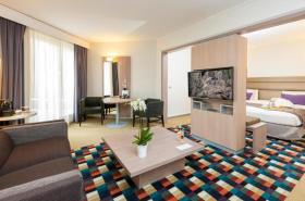 Hotel Mercure Grenoble Centre Président - photo 23