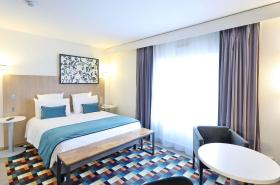 Mercure Grenoble Centre Porte des Alpes - photo 17
