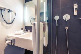 Mercure Grenoble Centre Porte des Alpes - photo 13