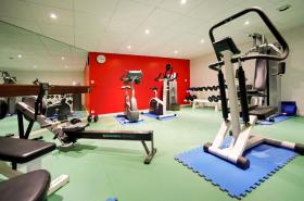 Mercure Grenoble Centre Porte des Alpes - photo 4